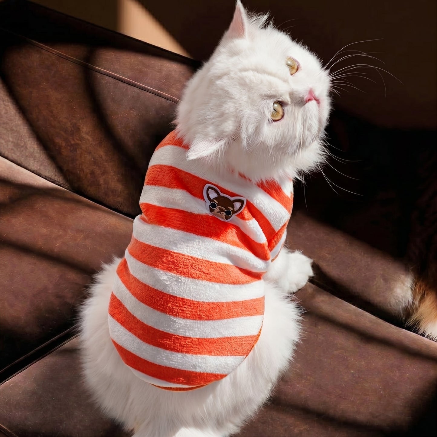 Catofy™ Embroidered Fluffy Pet Jacket